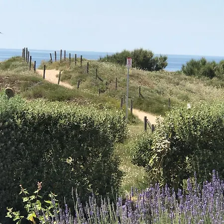 Villa Villa Allee De La Pentie Saint-Pierre-d'Oleron
